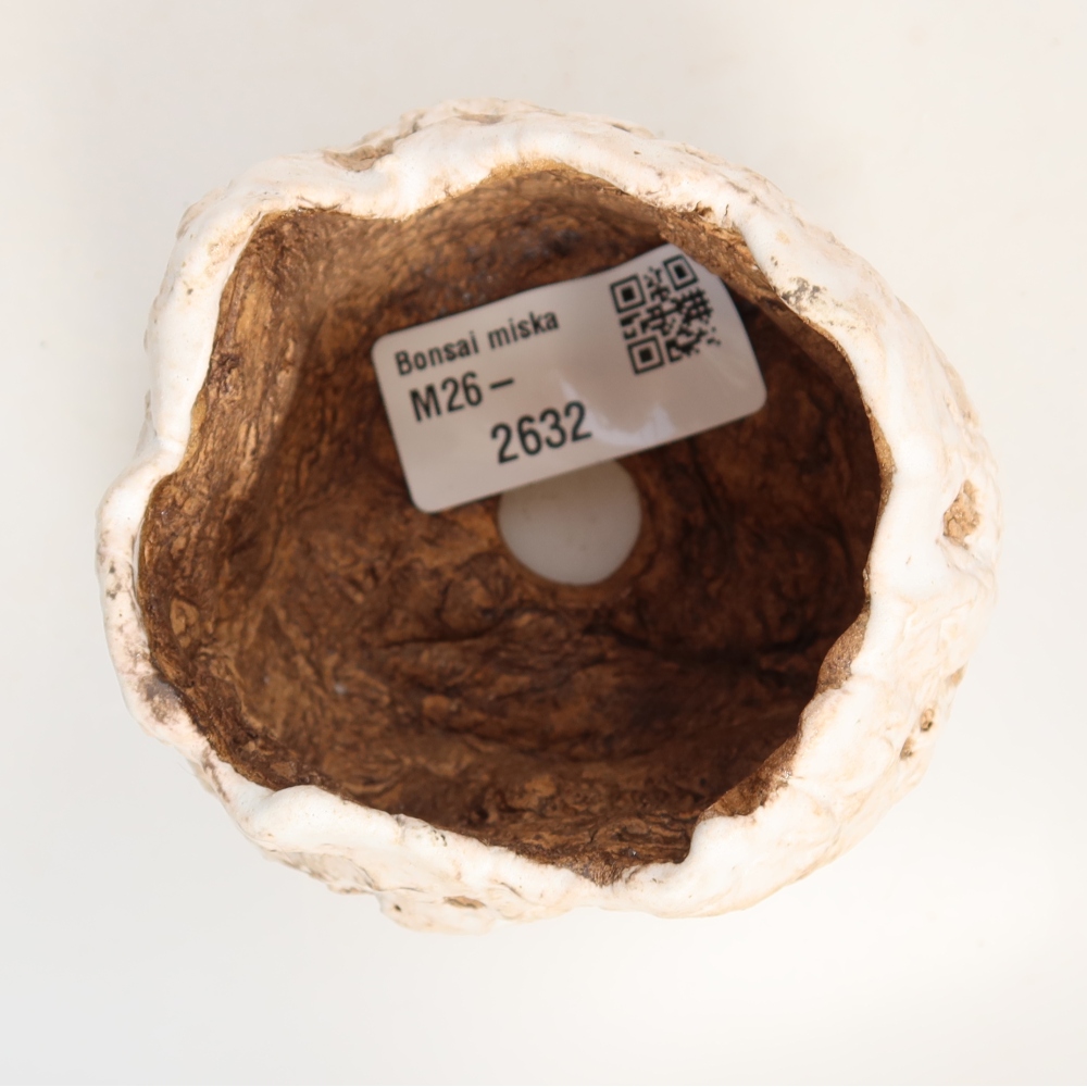 Guscio in ceramica  7,5 x 7 x 6,5 cm, colore bianco