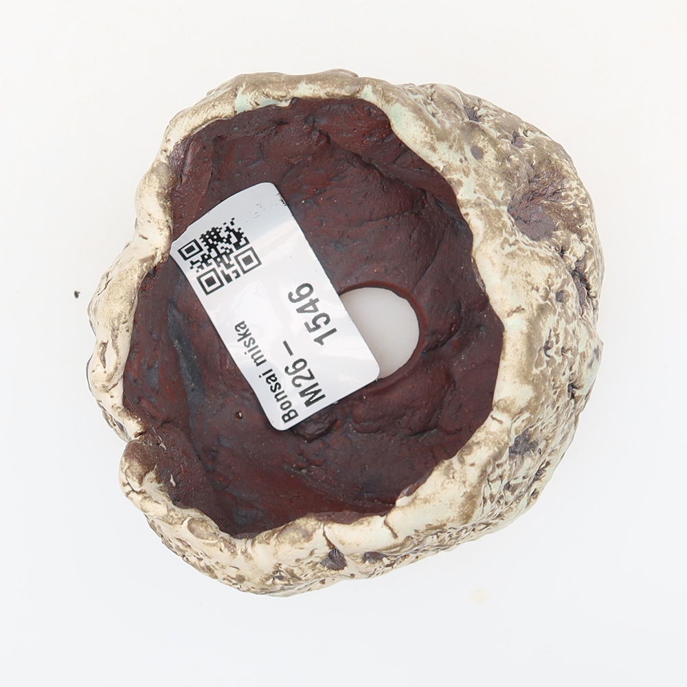 Guscio in ceramica  7 x 6 x 6 cm, colore marrone-bianco
