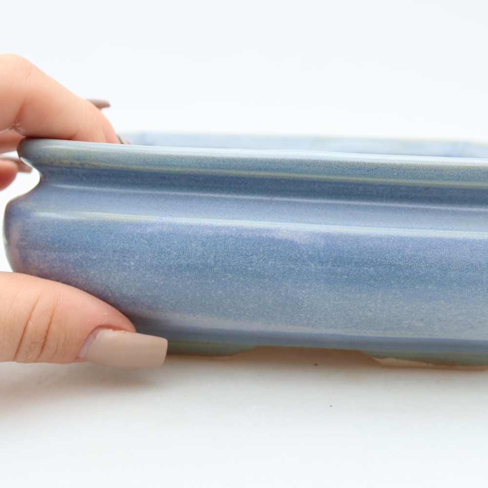 Vaso in ceramica per bonsai 15,5 x 15,5 x 6 cm, colore blu