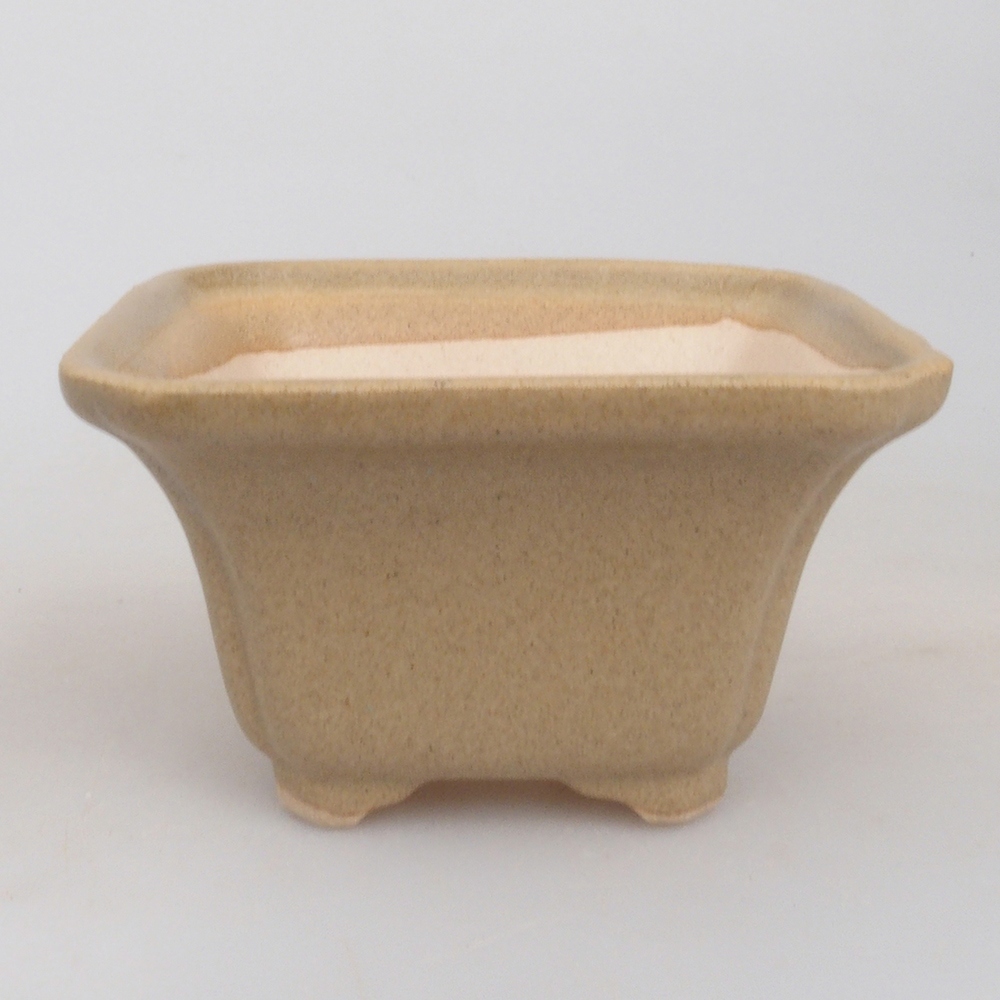 Mini bonsai 7,5 x 7,5 x 4,5 cm, marrone