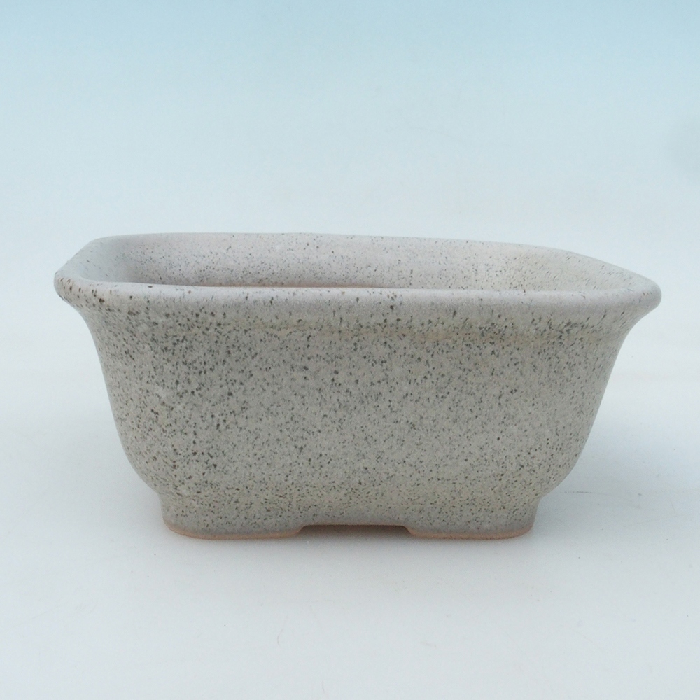 Ciotola bonsai + piattino H37 - 14,5x13x6,5 cm - beige