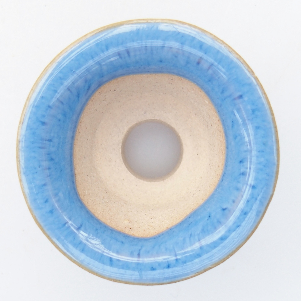 Mini bonsai 3,5 x 3,5 x 2 cm, colore blu