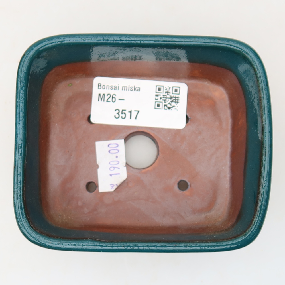 Vaso da bonsai in ceramica 10 x 8 x 3,5 cm, colore verde