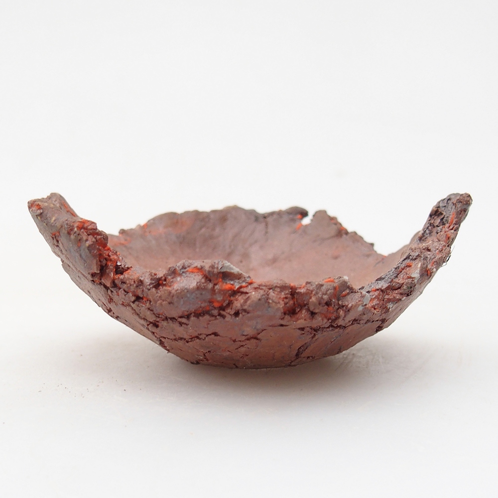 Conchiglia in ceramica 7 x 7 x 3 cm , colore arancione