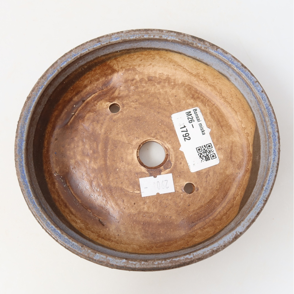 Vaso da bonsai in ceramica 15 x 14 x 4 cm, colore blu