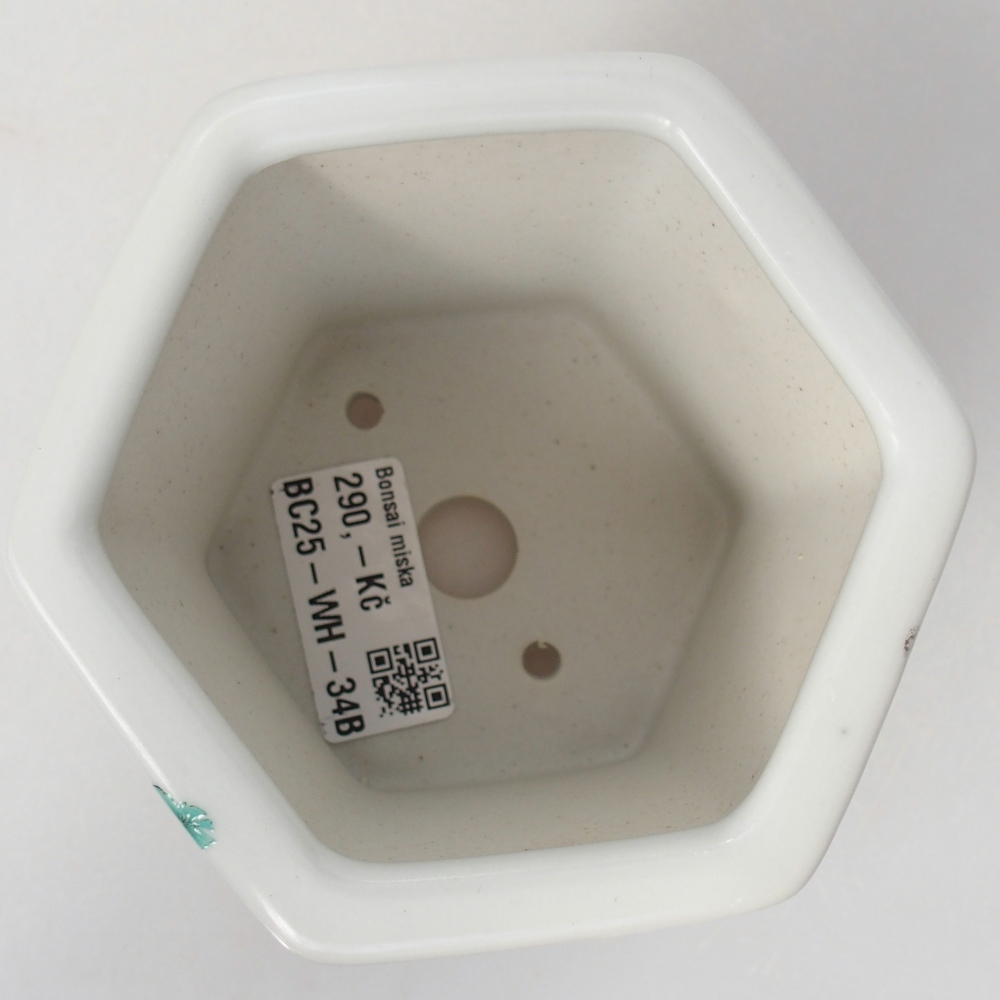 Ciotola per bonsai in ceramica 10,5 x 9,5 x 9 cm, colore bianco