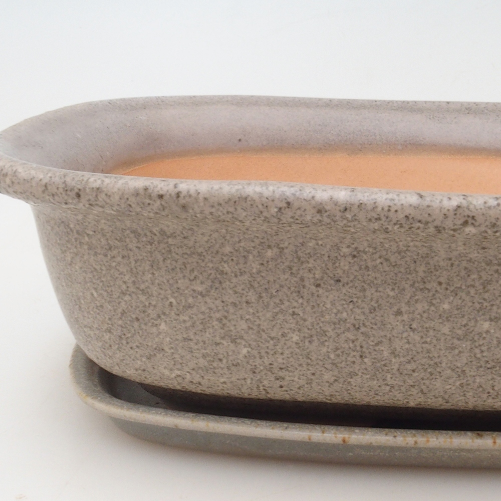 Ciotola bonsai + piattino H09 - 30 x 23 x 7,5 cm - beige