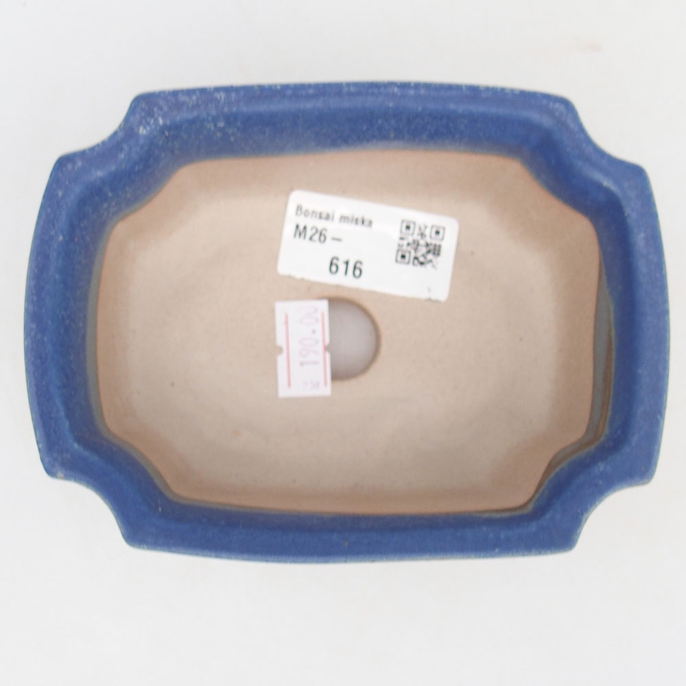 Ciotola bonsai in ceramica 12,5 x 9 x 5,5 cm, colore blu