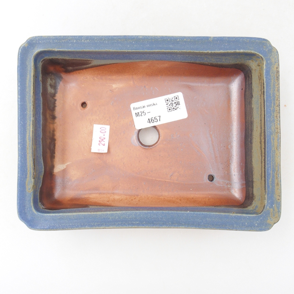 Ciotola bonsai in ceramica 17,5 x 13 x 4 cm, colore blu