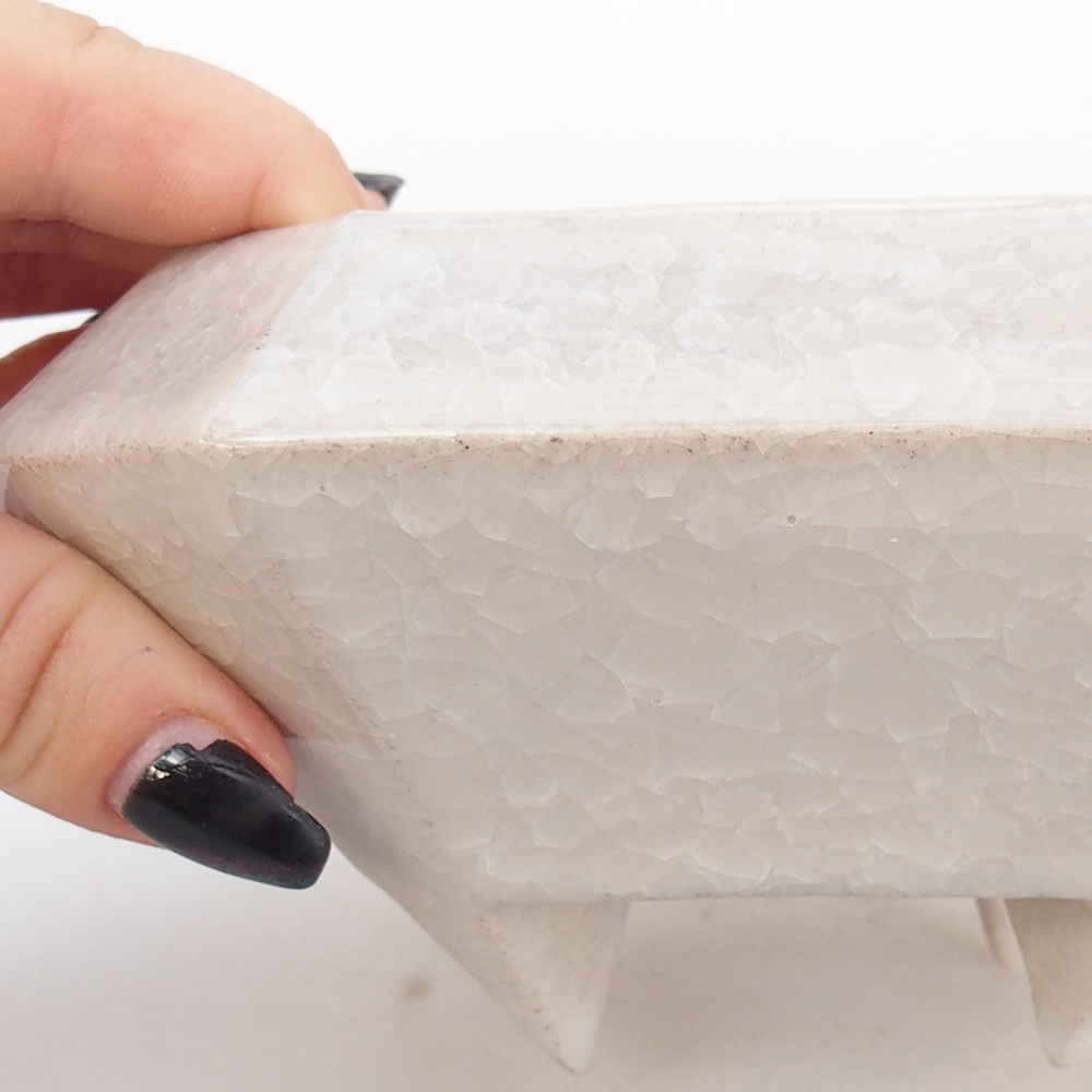 Ciotola bonsai in ceramica 13,5 x 13,5 x 7,5 cm, colore beige