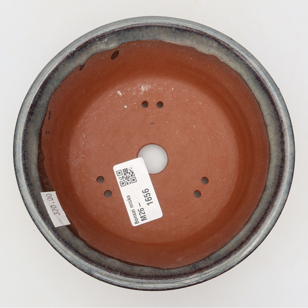 Ciotola per bonsai in ceramica 15 x 15 x 5,5 cm, grigio