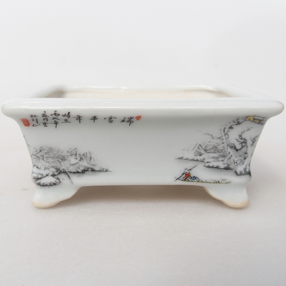 Mini bonsai 8 x 6 x 3 cm, bianco