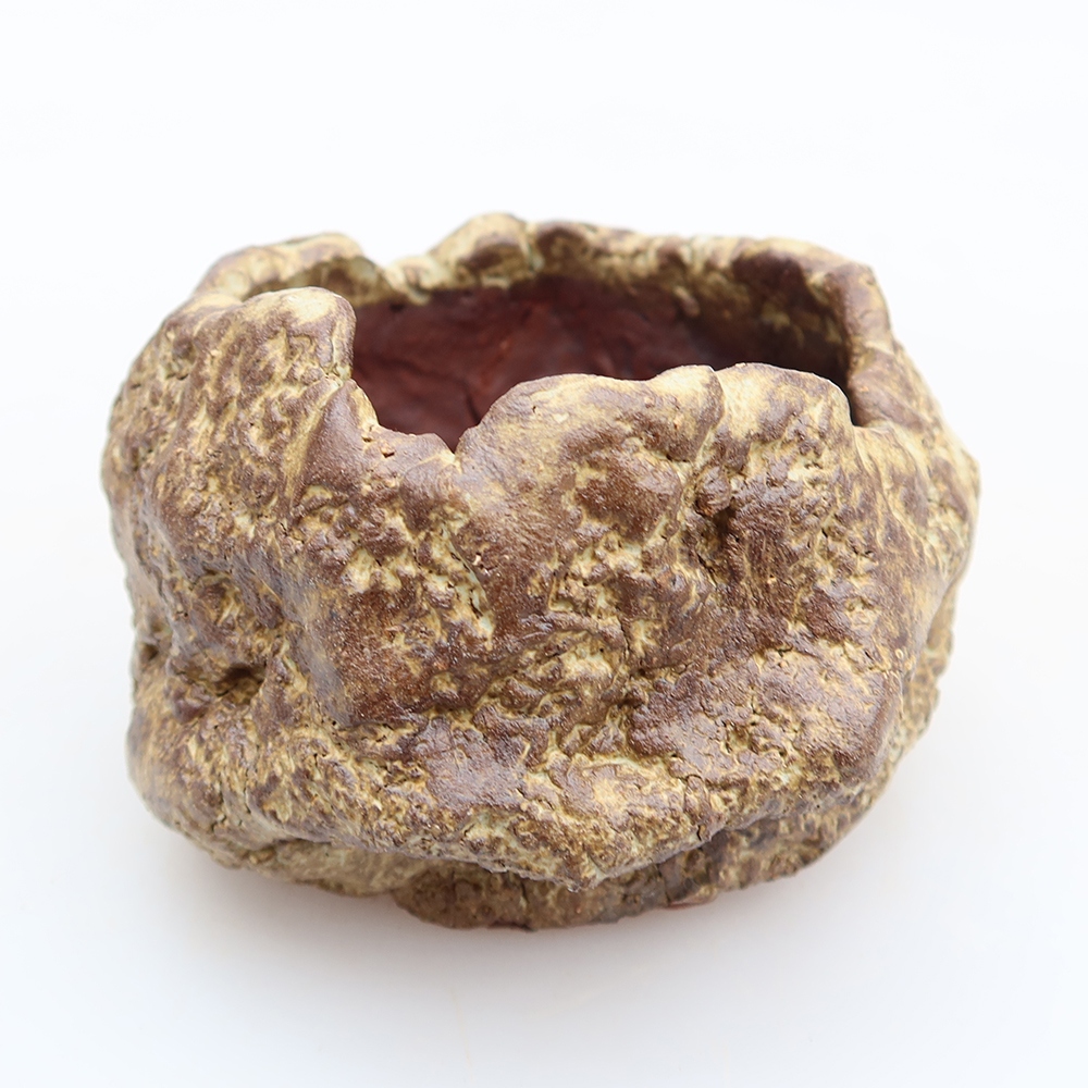 Conchiglia in ceramica  6 x 5 x 5,5 cm, colore marrone