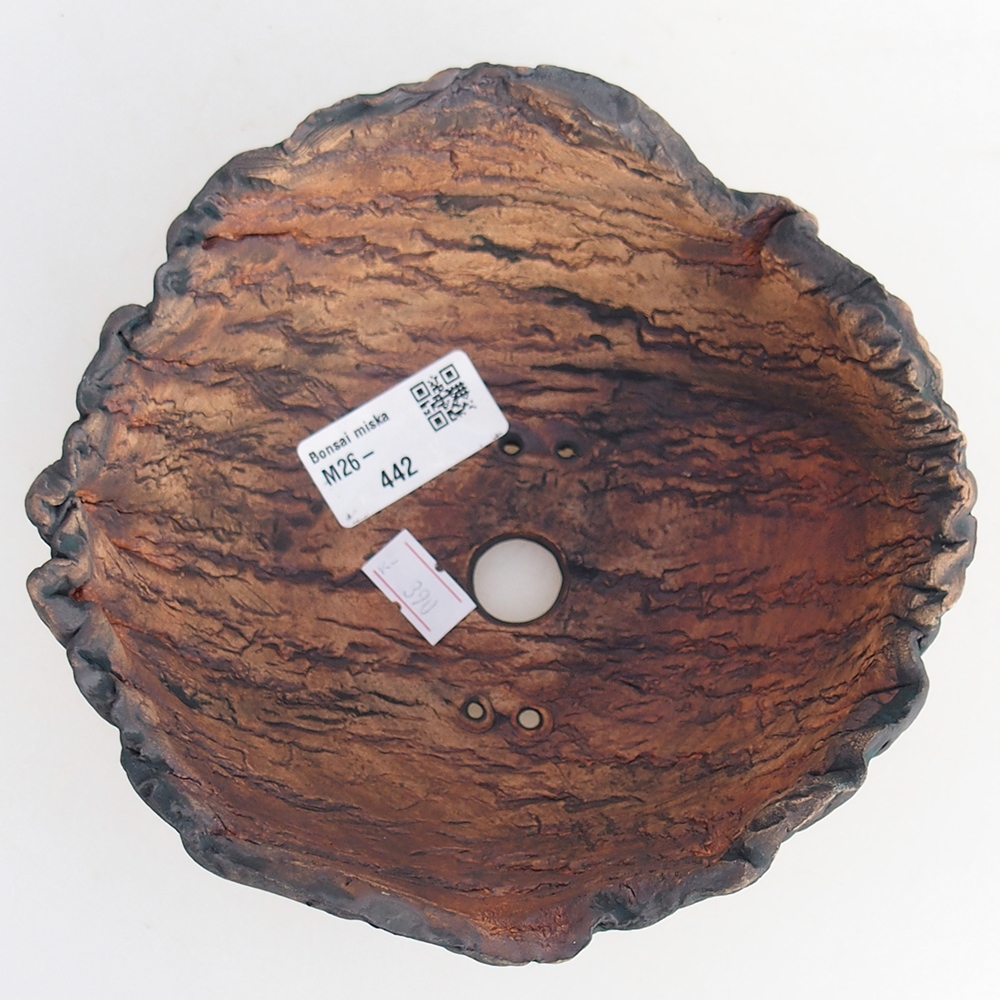 Conchiglia in ceramica 15,5 x 15,5 x 7 cm , colore verde