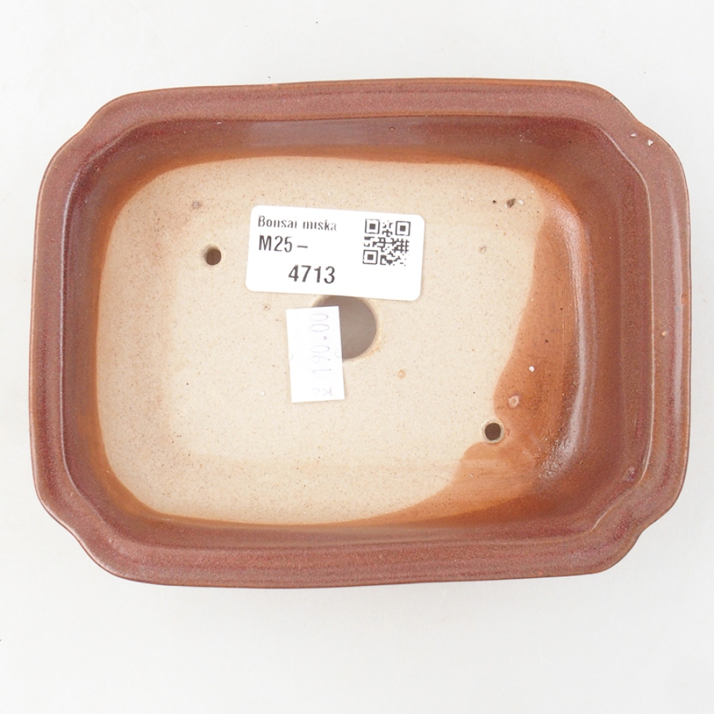 Ciotola bonsai in ceramica 14 x 11 x 4 cm, bordeaux