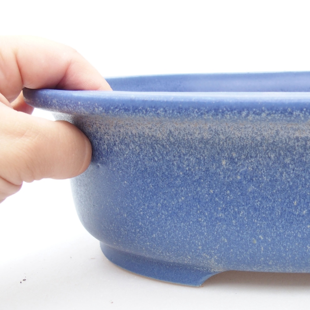 Ciotola bonsai in ceramica 26 x 22 x 8 cm, colore blu