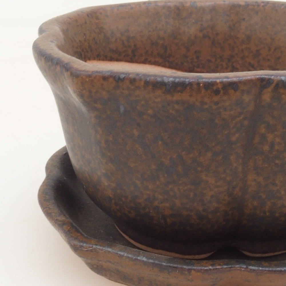 Ciotola bonsai + piattino H95 - marrone