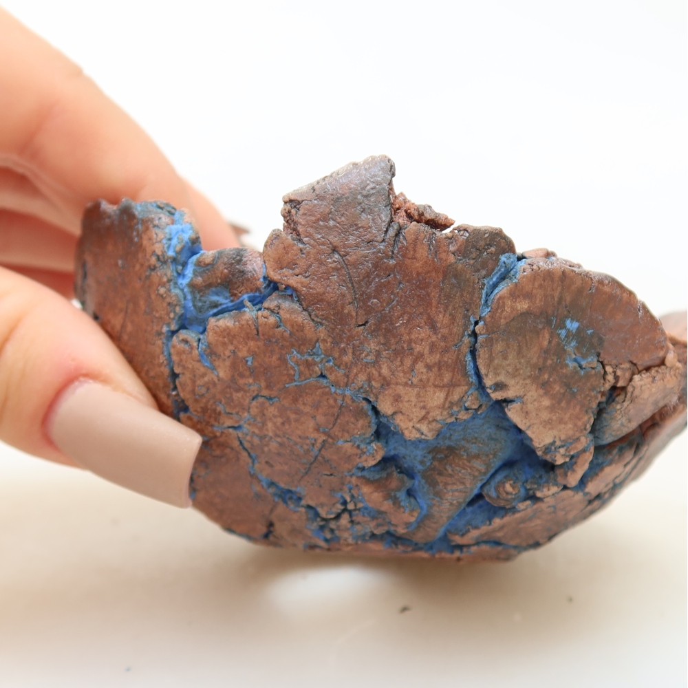 Guscio in ceramica 9 x 9 x 5 cm, colore blu