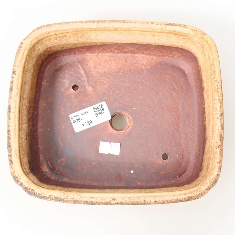 Vaso da bonsai in ceramica 19,5 x 17 x 6 cm, colore rosa
