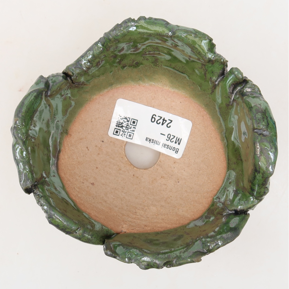Guscio in ceramica  11 x 10 x 7 cm, colore verde