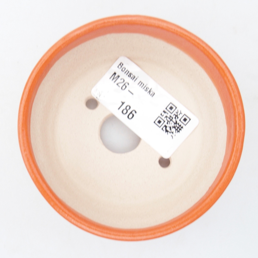 Mini bonsai 7,5 x 7,5 x 3,5 cm, arancio