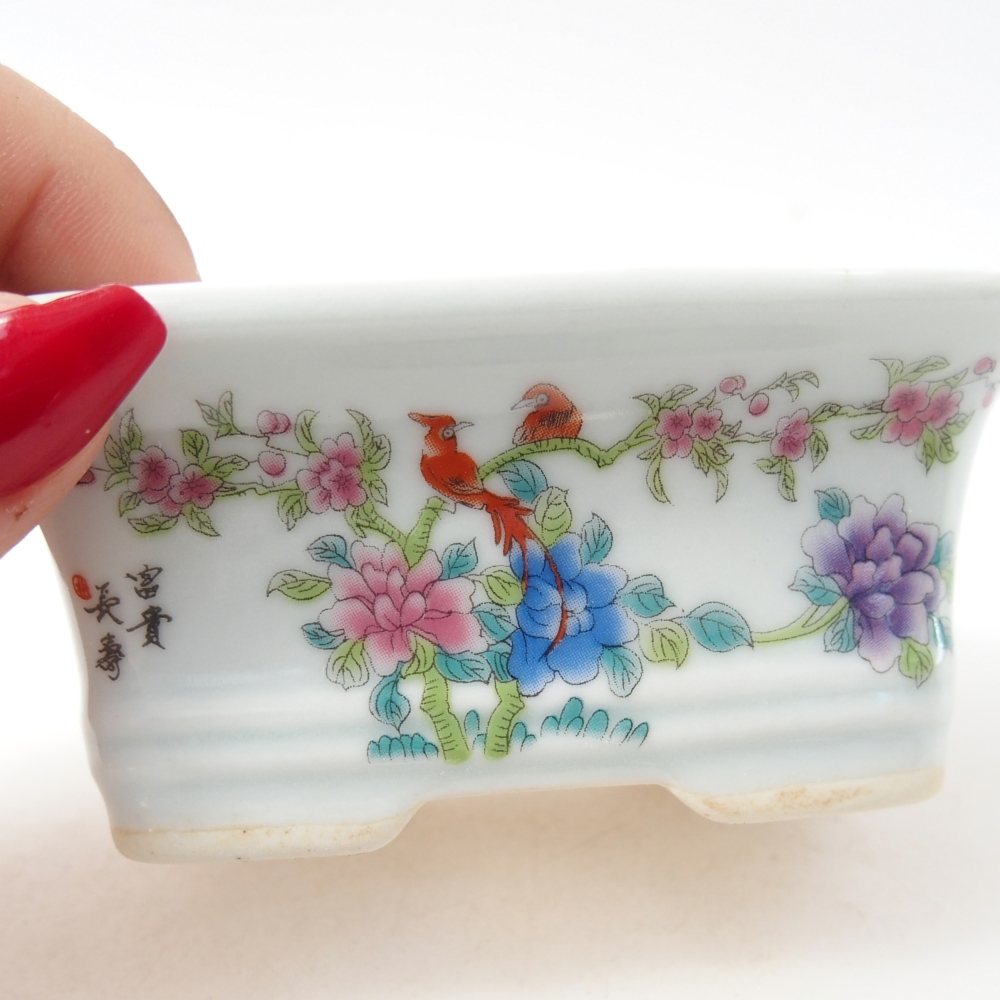 Mini bonsai 10 x 7,5 x 4 cm, colore bianco