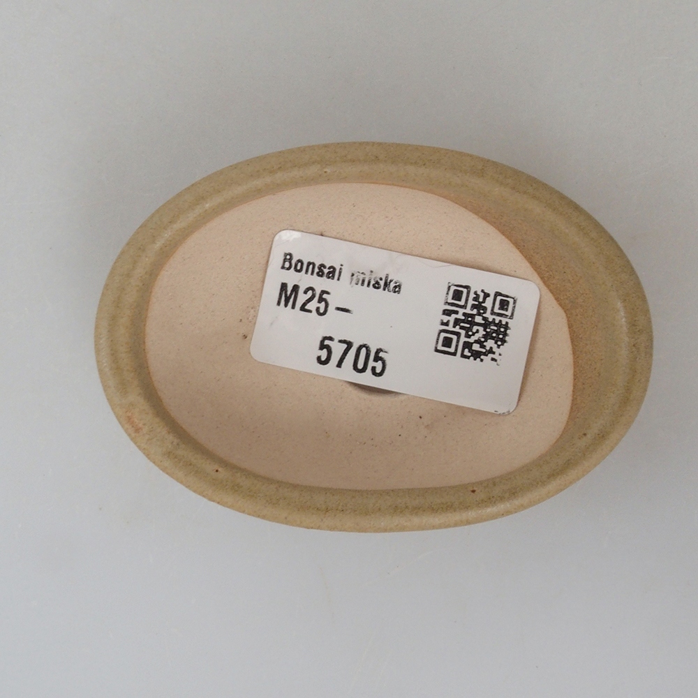 Ciotola per mini bonsai 7 x 5 x 2 cm, marrone