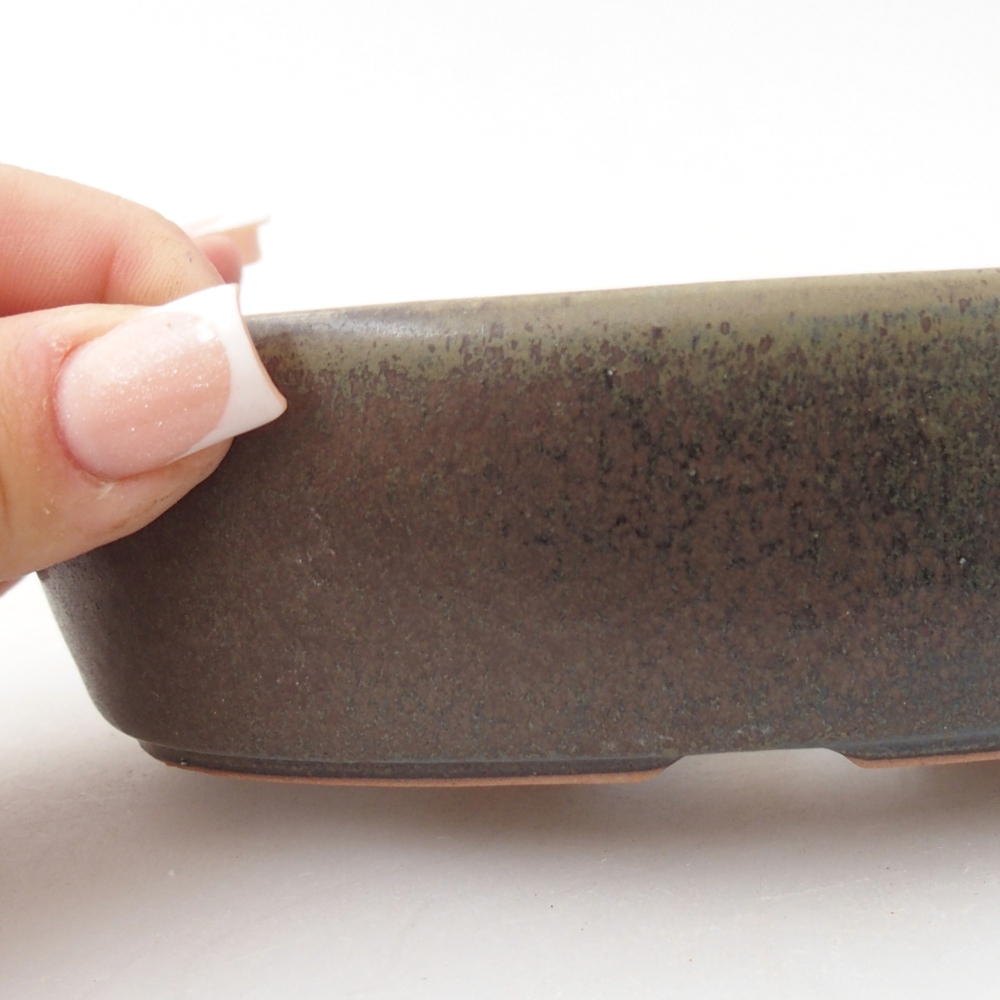 Ciotola per bonsai in ceramica 15 x 9,5 x 4 cm, marrone