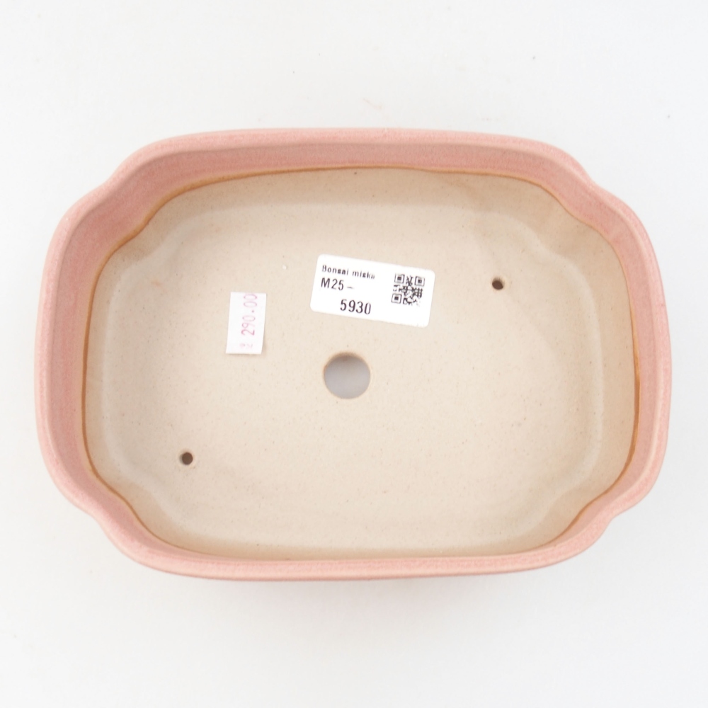 Ciotola bonsai in ceramica 22 x 17 x 5 cm, verde