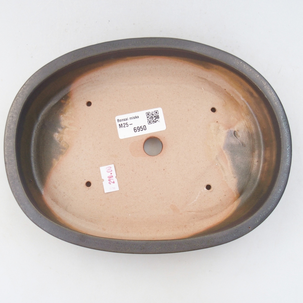 Ciotola bonsai in ceramica 26 x 26 x 8 cm, colore rosso