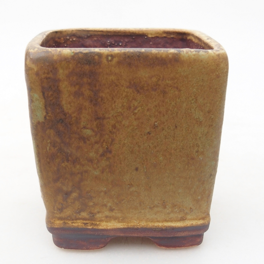 Ciotola per bonsai in ceramica 6,5 x 6,5 x 7 cm, verde