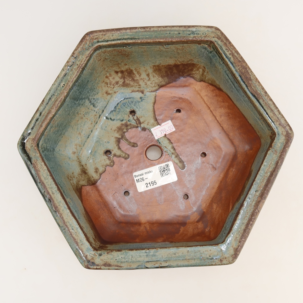Vaso da bonsai in ceramica 24 x 21,5 x 7,5 cm, colore marrone