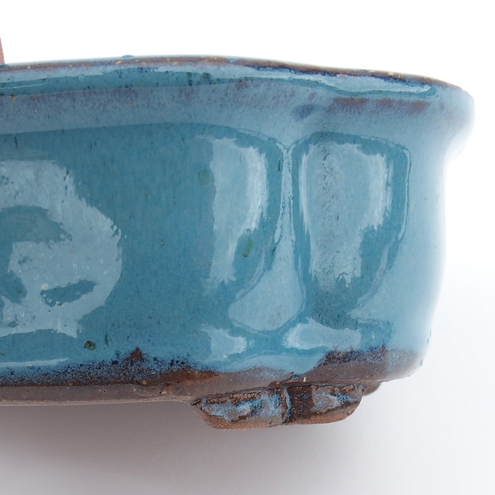 Ciotola 16 x 13 x 5,5 cm colore blu