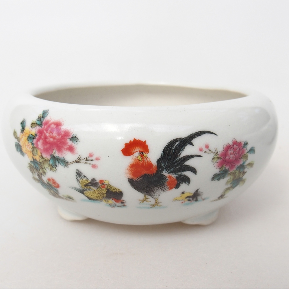 Ciotola per bonsai in ceramica 10 x 10 x 5 cm, colore bianco