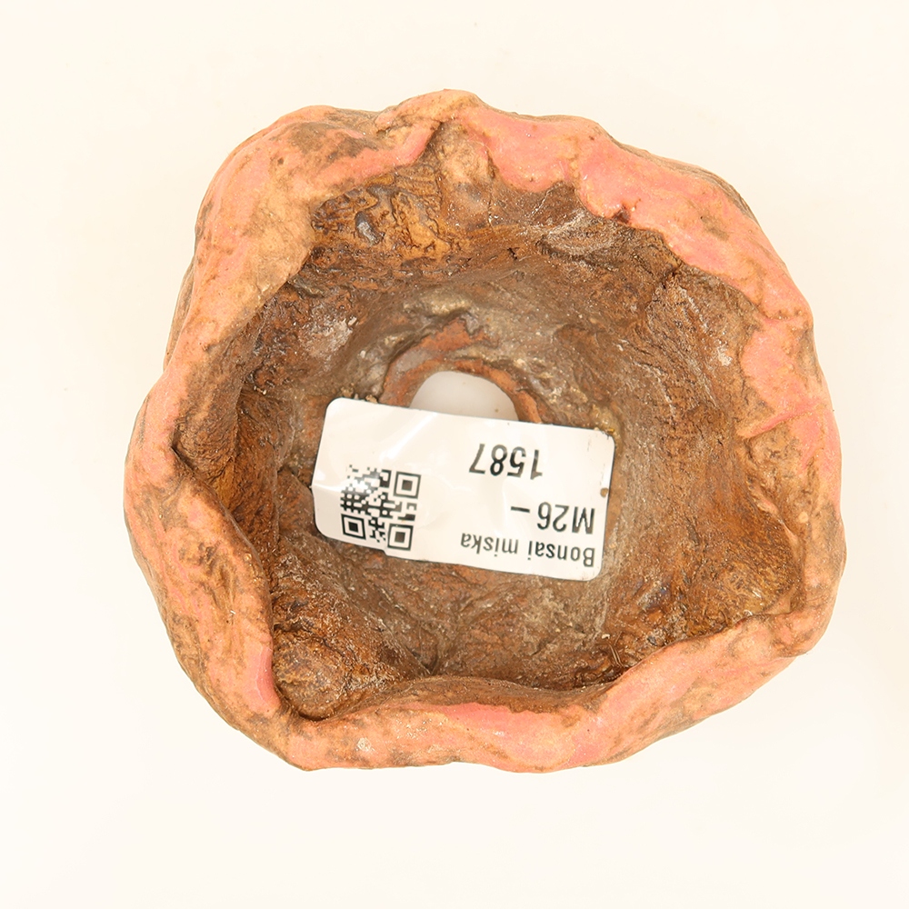 Guscio in ceramica  7 x 6 x 4,5 cm, colore rosa