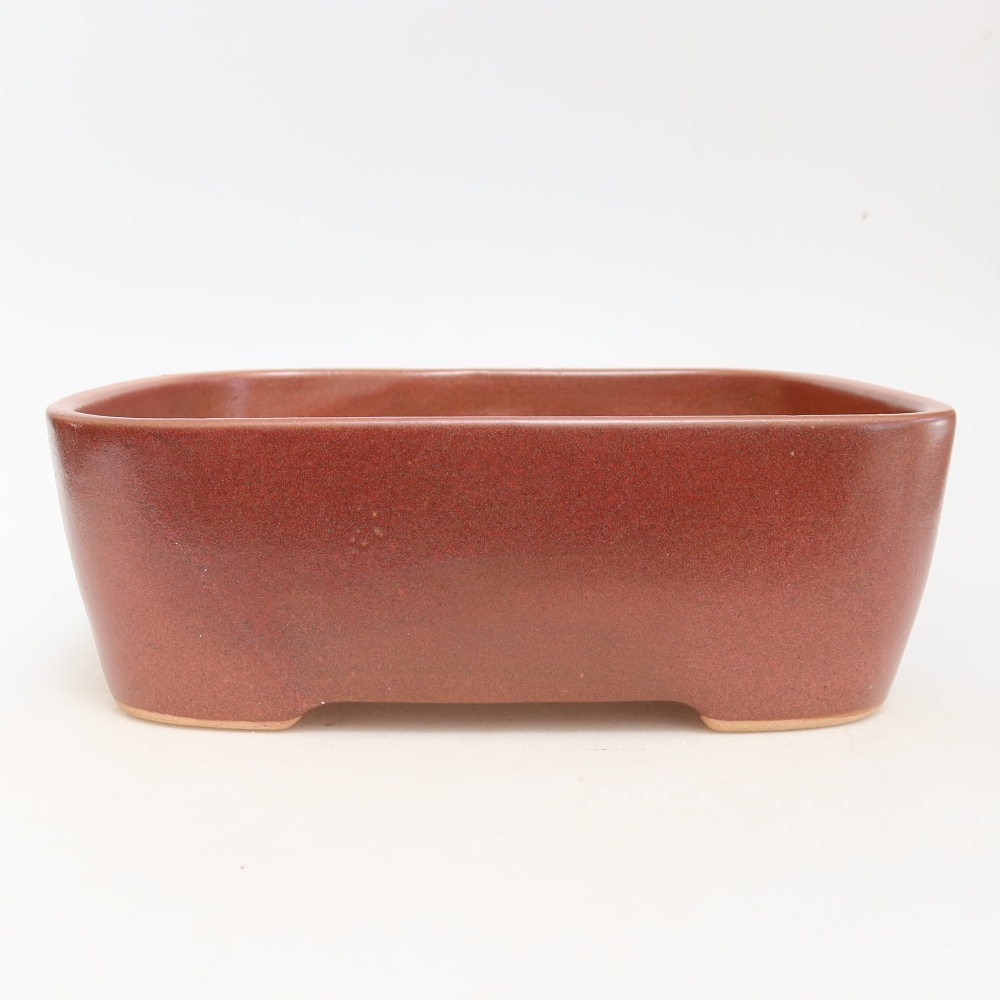 Vaso da bonsai in ceramica 23 x 17,5 x 7,5 cm, colore bordeaux