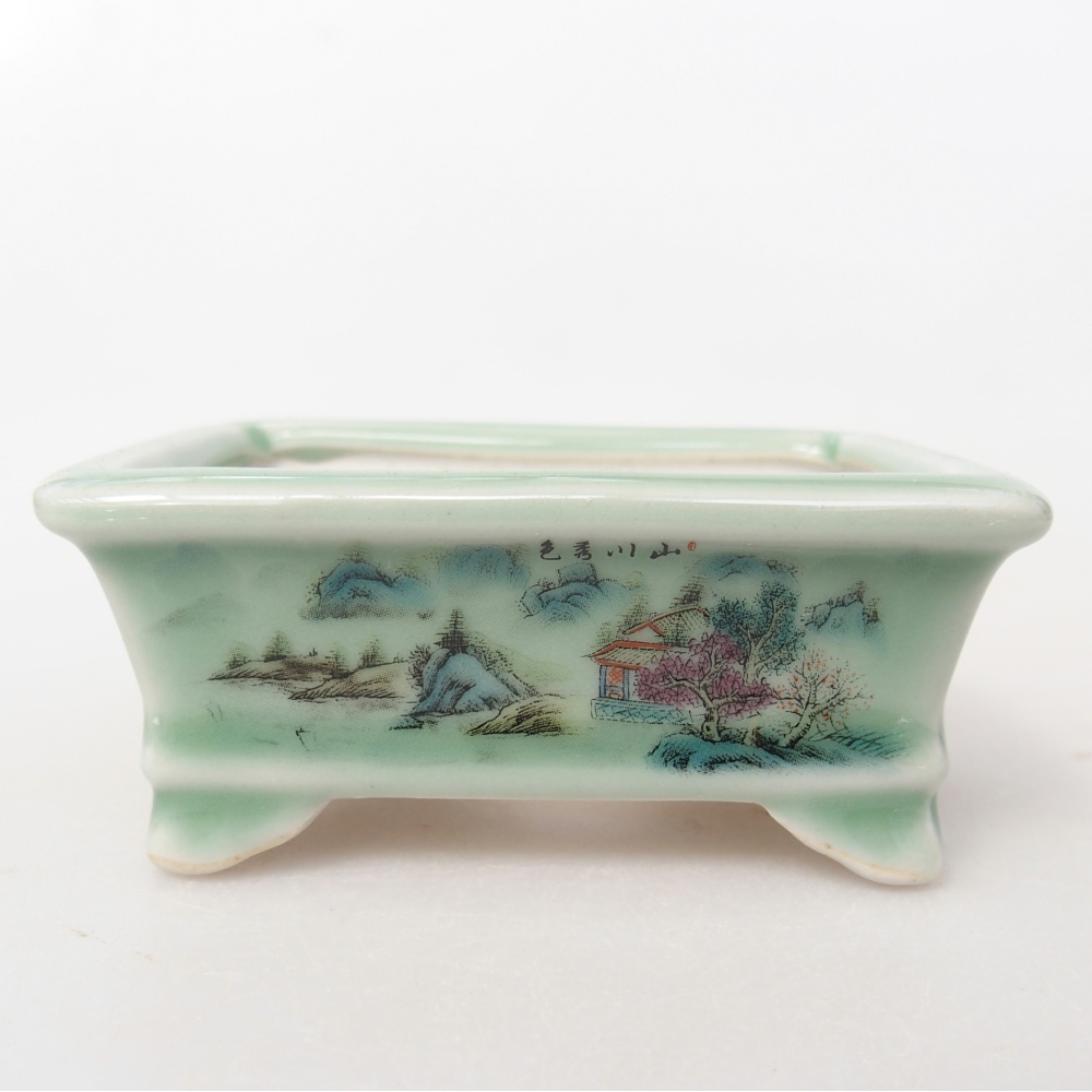 Mini bonsai 8 x 6 x 3 cm, verde