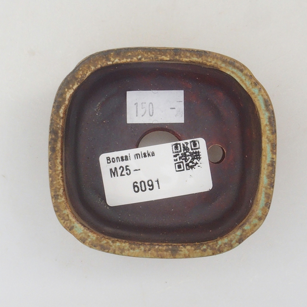 Ciotola per bonsai in ceramica 10 x 8,5 x 4 cm, marrone