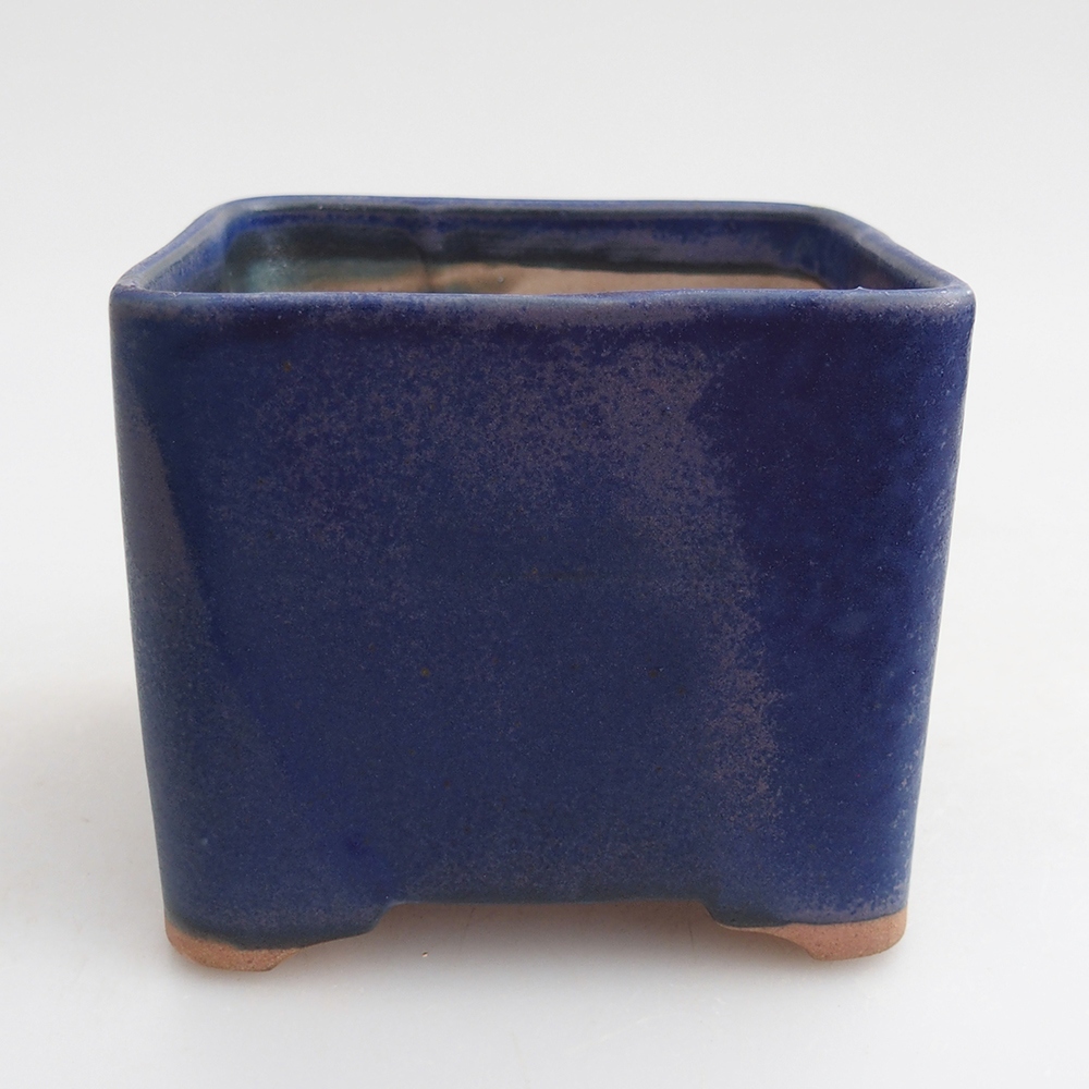 Ciotola per bonsai in ceramica 10 x 10 x 8 cm, colore blu