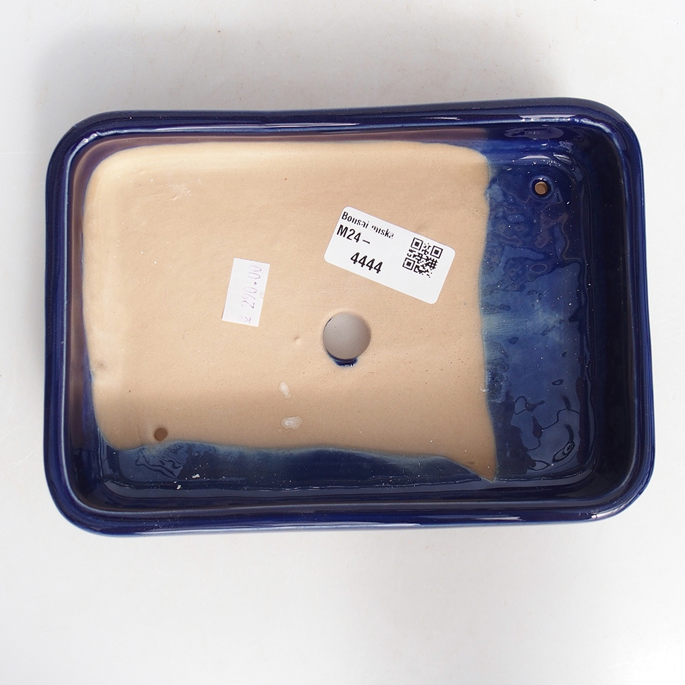 Ciotola bonsai in ceramica 18 x 13 x 4 cm, colore blu