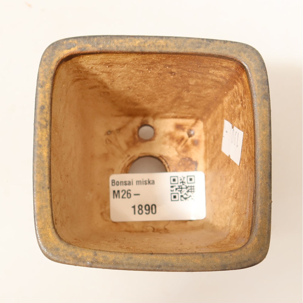 Ciotola per bonsai in ceramica 7,5 x 7,5 x 7,5 cm, marrone
