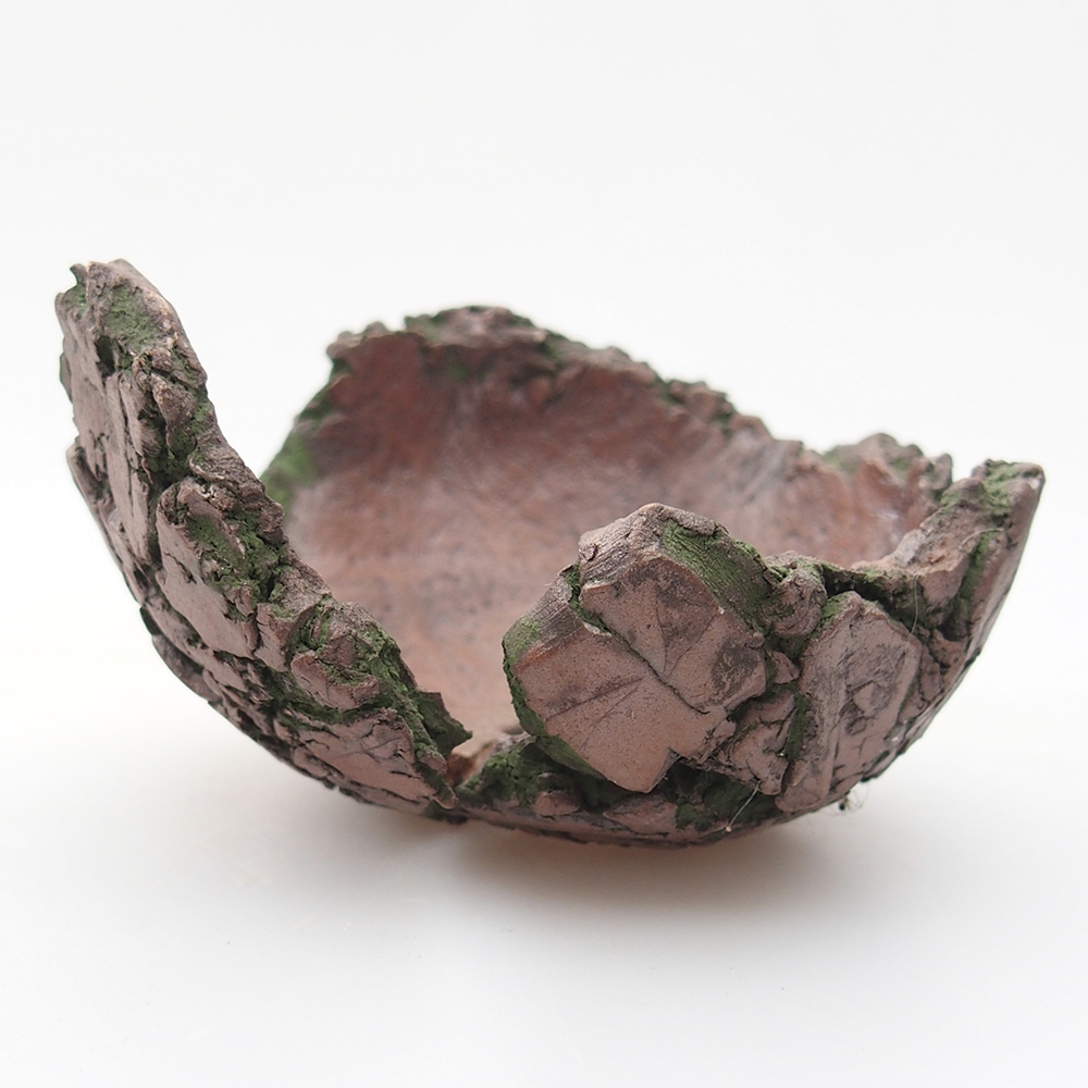 Conchiglia in ceramica 9 x 9,5 x 5,5 cm , colore verde