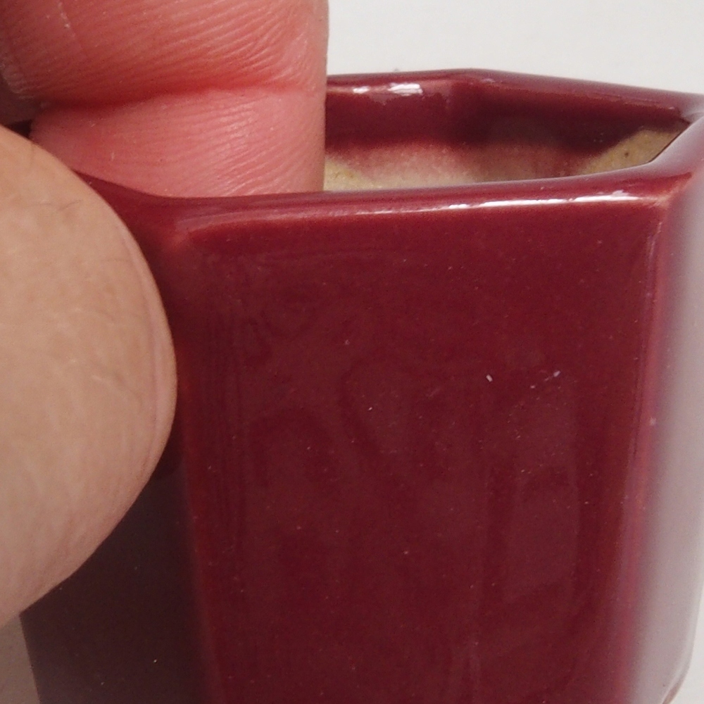 Mini bonsai 4 x 4 x 3,5 cm, bordeaux