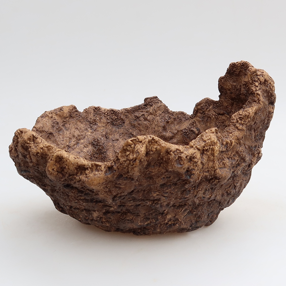 Conchiglia in ceramica 19,5 x 16 x 13 cm, colore marrone