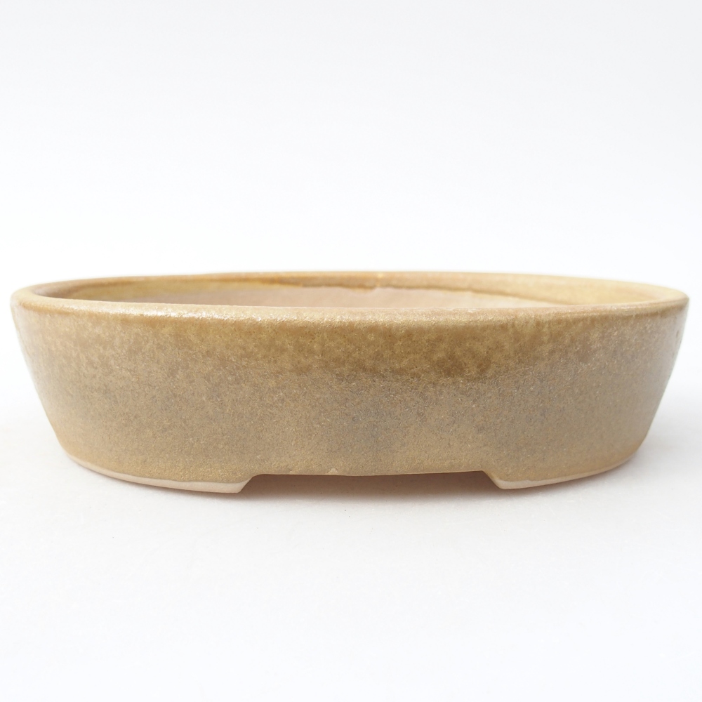 Ciotola per bonsai in ceramica 17 x 13,5 x 4 cm, colore beige