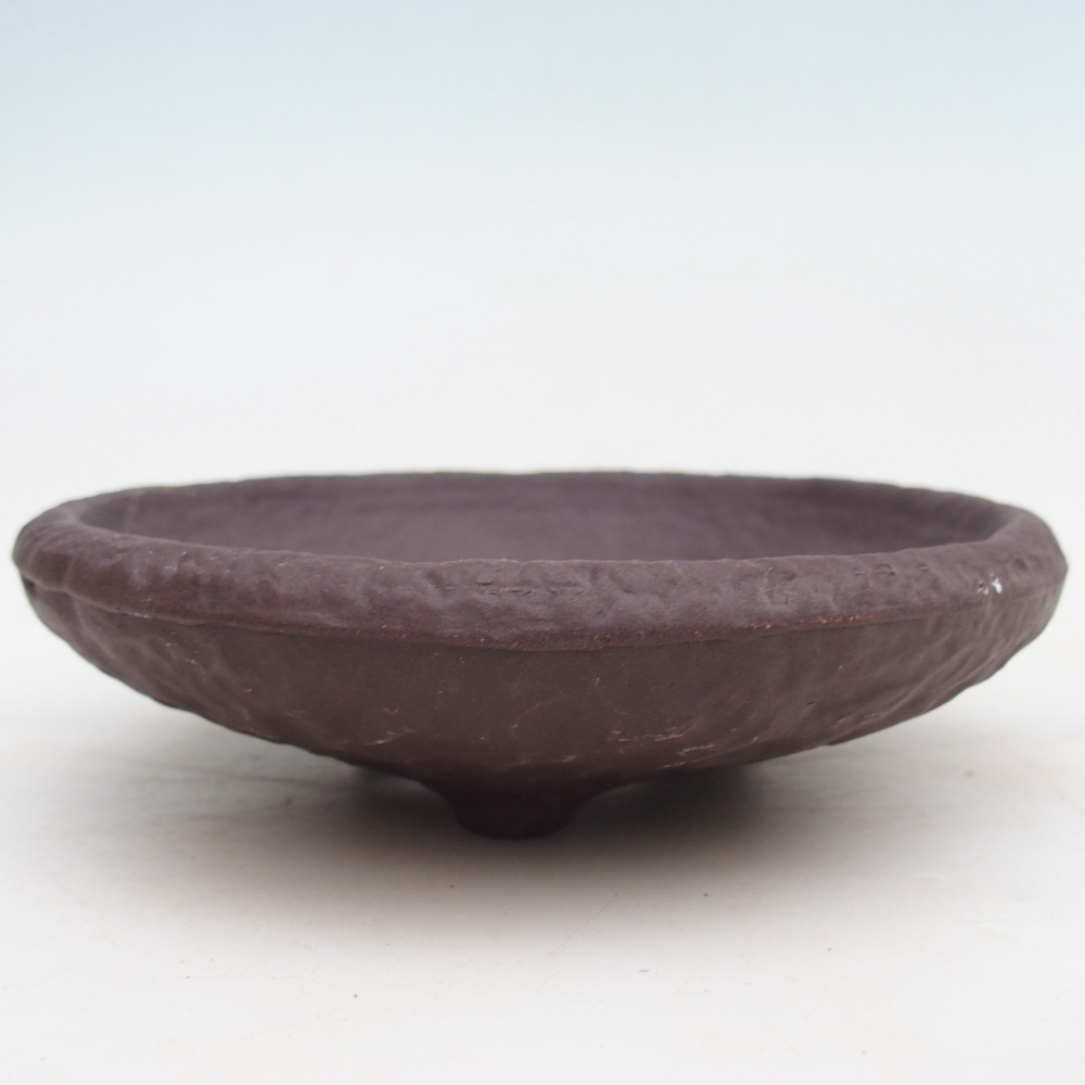 Conchiglia in ceramica 14 x 14 x 4 cm , colore marrone