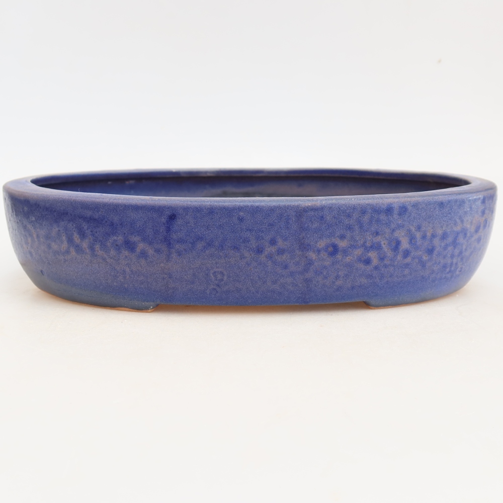 Vaso da bonsai in ceramica 27 x 21 x 5,5 cm, colore blu