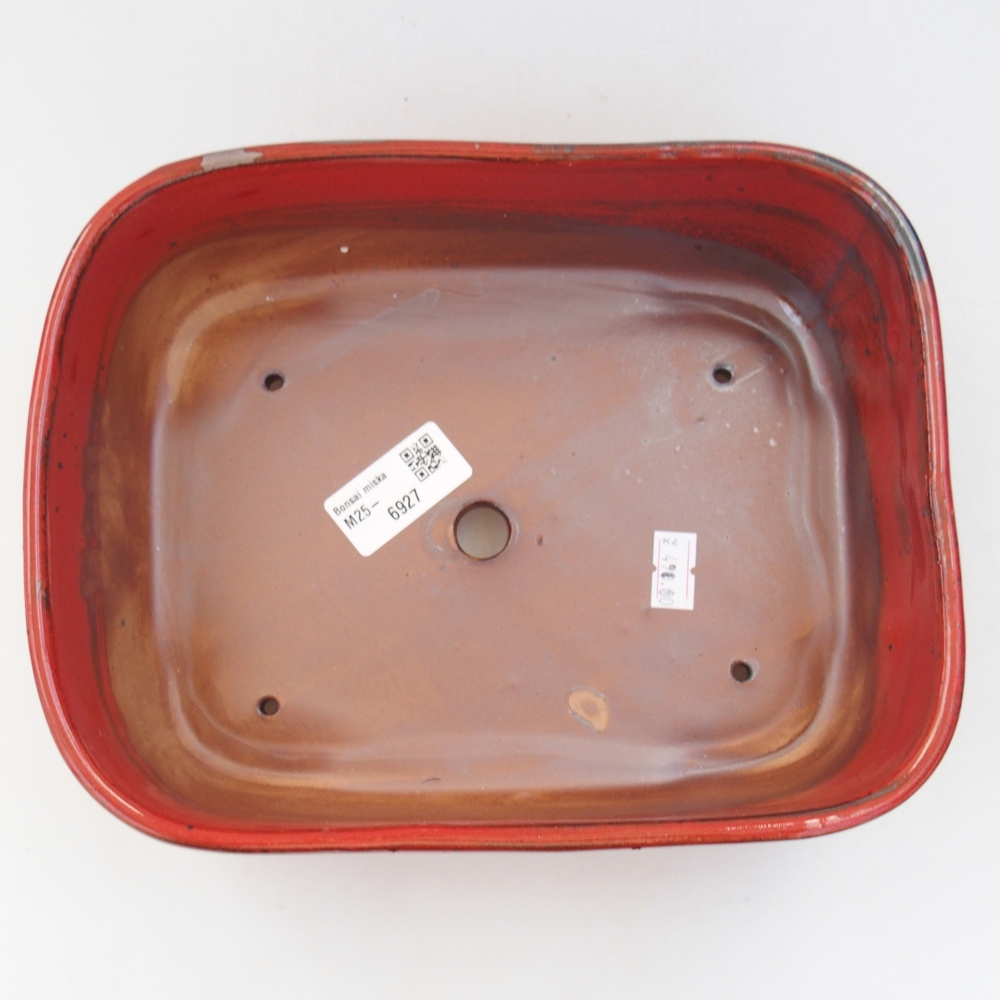 Ciotola per bonsai in ceramica 23 x 18 x 7,5 cm, colore rosso