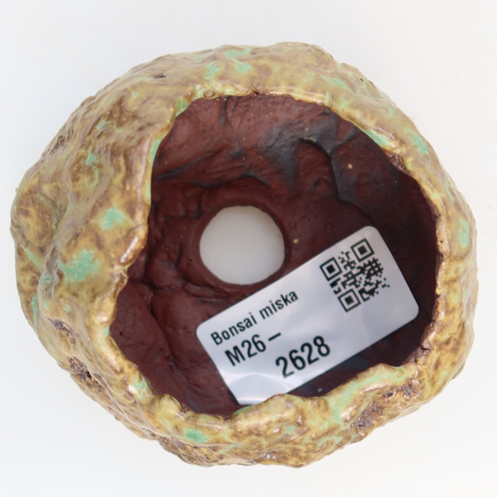Guscio in ceramica  6,5 x 6,5 x 5,5 cm, colore verde