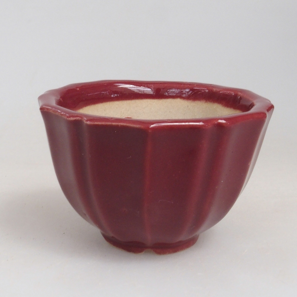Ciotola per mini bonsai 5 x 5 x 3 cm, bordeaux